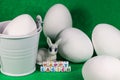 Happy Easter Bunny With Large White Eggs And Bucket Royalty Free Stock Photo