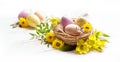 Happy Easter. Three spotted eggs in the nest and spring yellow flowers. Royalty Free Stock Photo