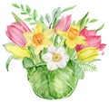 Happy Easter tulip flowers bouquet card. Spring floral composition in a cabbage vase. Watercolor illustration Royalty Free Stock Photo