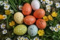 Happy easter turquoise stone Eggs Daisy Basket. White serene Bunny chromatic. easter throw blankets background wallpaper