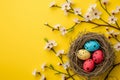 Happy easter vibrant Eggs Mystical Basket. White plush display Bunny Turquoise Blue. limeade green background wallpaper Royalty Free Stock Photo