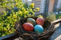 Happy easter watercolor Eggs Bounding Basket. White Orange Sherbet Bunny gratitude card. Eggstraordinary background wallpaper