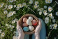 Happy easter whiskers Eggs Pastel apricot Basket. White Recovery Bunny full of cheer. dainty background wallpaper Royalty Free Stock Photo