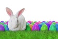 Happy Easter on white background Royalty Free Stock Photo