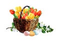 Happy Easter wicker basket with colorful tulip blooms flower and pastel eggs. Spring concept. Design element for