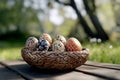 Happy Easter, wicker basket with traditional painted eggs in an outdoor spring setting Royalty Free Stock Photo