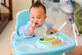 Happy eating Asian baby boy, 7 months old eating with Baby Led Weaning BLW method, Self-Feeding