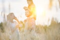 Happy eco family walking in wheat field Royalty Free Stock Photo