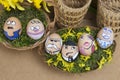 Happy egg face family in wicker basket Royalty Free Stock Photo