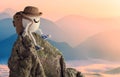 Happy egg hiker in a funny hat sitting on a cliff