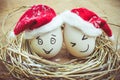 Happy eggs with painted faces in the nest for Christmas Royalty Free Stock Photo