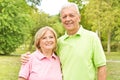 Happy elderly couple Royalty Free Stock Photo