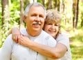 Happy elderly couple Royalty Free Stock Photo