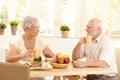 Happy elderly couple having breakfast