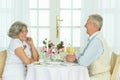 Happy elderly couple having dinner Royalty Free Stock Photo