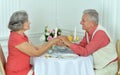 Happy elderly couple having dinner Royalty Free Stock Photo