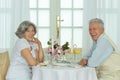 Happy elderly couple having dinner Royalty Free Stock Photo