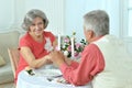 Happy elderly couple having dinner Royalty Free Stock Photo