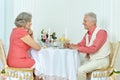 Happy elderly couple having dinner Royalty Free Stock Photo