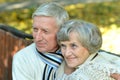 Portrait of happy senior couple in autumn park Royalty Free Stock Photo