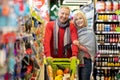 Happy elderly family husband and wife posing with shopping cart Royalty Free Stock Photo