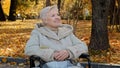 Happy elderly granny sit in wheelchair looks up in autumn park adult retired woman resting outdoors person with Royalty Free Stock Photo