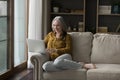 Happy elderly laptop user woman resting on soft couch