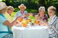 Happy elderly people sitting around the table picnicking. Royalty Free Stock Photo