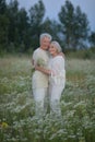 Happy elderly seniors couple in park Royalty Free Stock Photo