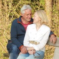 Happy elderly seniors couple in park. Portrait of a beautiful elderly couple outdoors Royalty Free Stock Photo