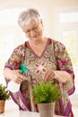 Happy elderly woman watering plant Royalty Free Stock Photo