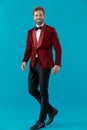 Happy elegant man wearing red velvet tuxedo and walking Royalty Free Stock Photo