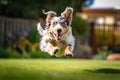 A Happy enthusiastic dog jumping in a garden house