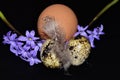 Happy ester with the nice decorations Ã¢â¬â macro Photo