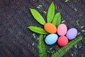 Happy Ester! Top view of colored Easter eggs