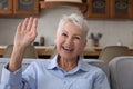 Happy excited senior retired lady enjoying video call talk Royalty Free Stock Photo