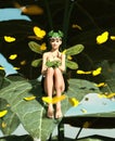 Happy fairy sitting on a big green leaf