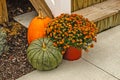 Happy Fall Colors for Thanksgiving or Halloween Royalty Free Stock Photo