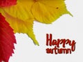 Happy fall congratulation card with yellow and red leaves