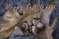 Happy Fall Y`all! with oak leaves and acorns Royalty Free Stock Photo