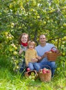 Happy family with apple harvest Royalty Free Stock Photo