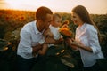 Happy family with baby has a fun and plays with the sunflower inflorescence Royalty Free Stock Photo