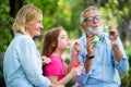 Happy family blowing soap bubbles in the park. Royalty Free Stock Photo