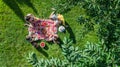 Happy family with children having picnic in park, parents with kids sitting on garden grass and eating healthy meals outdoors Royalty Free Stock Photo