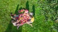 Happy family with children having picnic in park, parents with kids sitting on garden grass and eating healthy meals outdoors Royalty Free Stock Photo