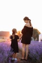 happy family concept. young mother with child daughter are walking in lavender field in sunset light. mom and child girl Royalty Free Stock Photo