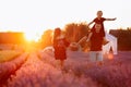 happy family day. Young mother and father carrying on shoulders daughter in lavender field on sunset. Dad, mom and child Royalty Free Stock Photo