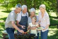 Happy family doing barbecue in the park Royalty Free Stock Photo