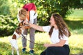 Happy family enjoying in park on sunny a day. Little puppy jack russel terrier walking with owners Royalty Free Stock Photo