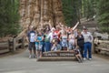 Happy family enjoys posing in sequoia national park in fromt of general sherman sequoia tree